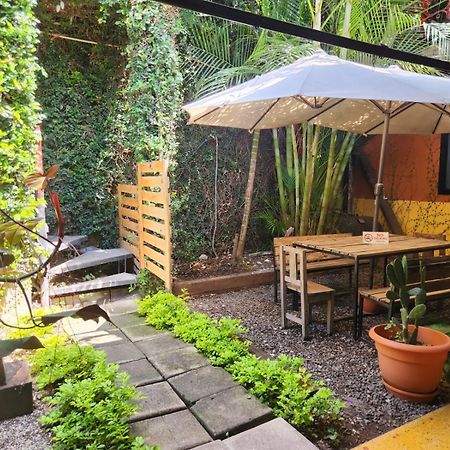 אנטיגואה גואטמלה Amura Hostal מראה חיצוני תמונה